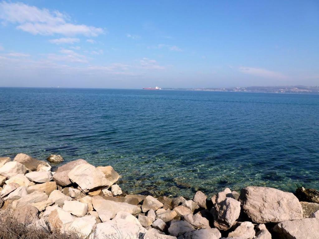 Apartma Žusterna Koper Bagian luar foto